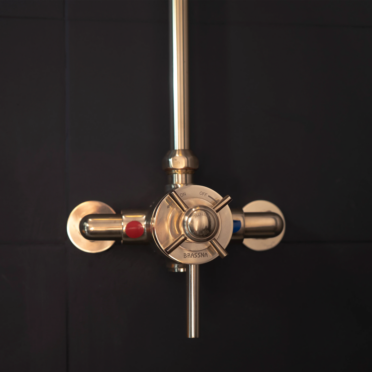 The Control Thermostatic Shower