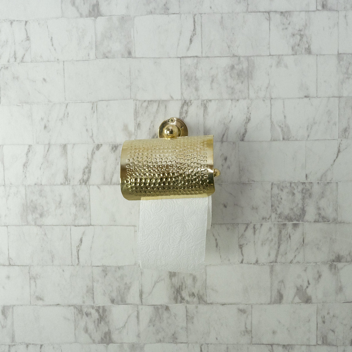 AuraLux Toilet Paper Holder