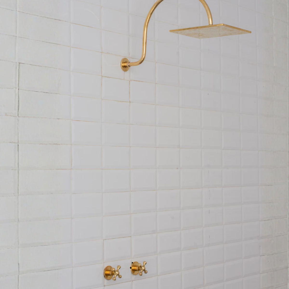 Brass Built-in Shower System, High Arc Gooseneck Shower Arm With Showerhead