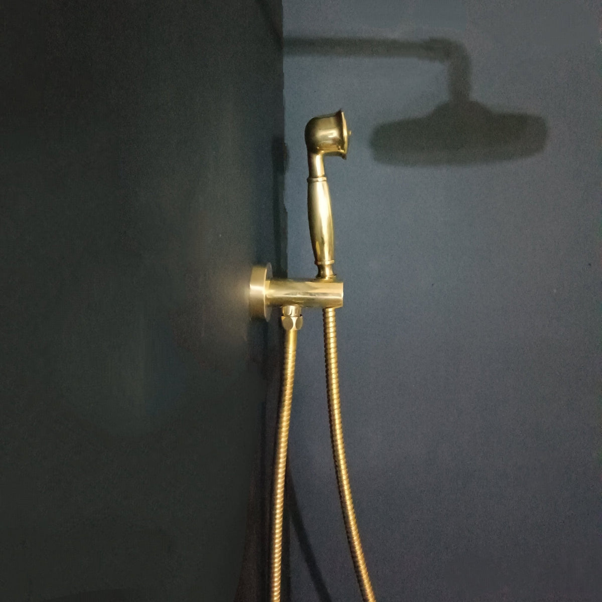 Concealed Shower Calie