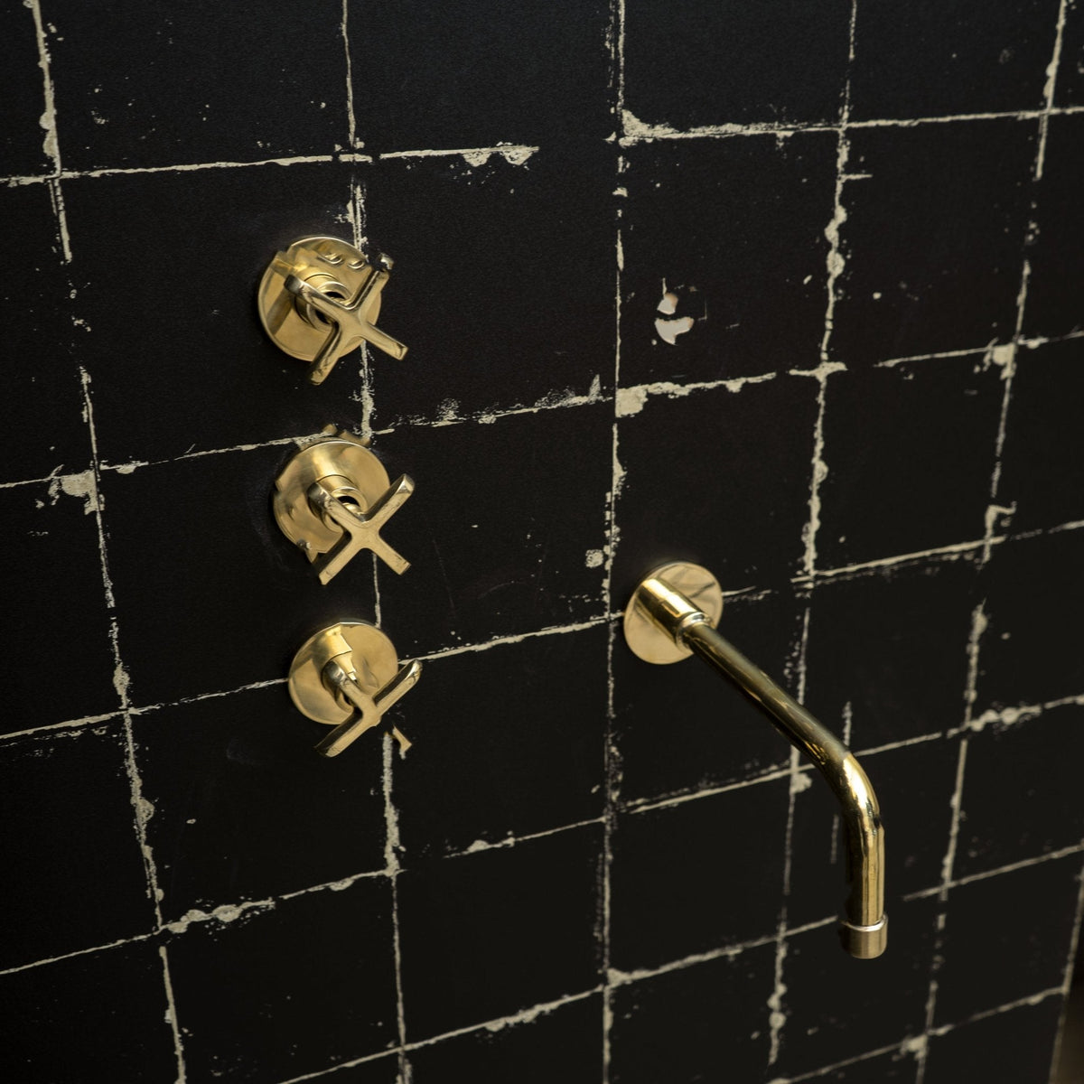 The Fanus Shower System