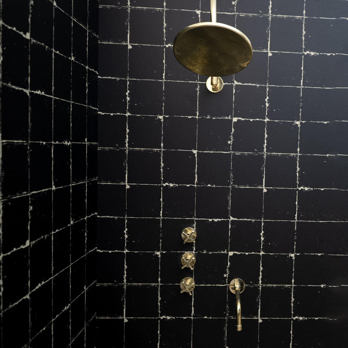 The Fanus Shower System