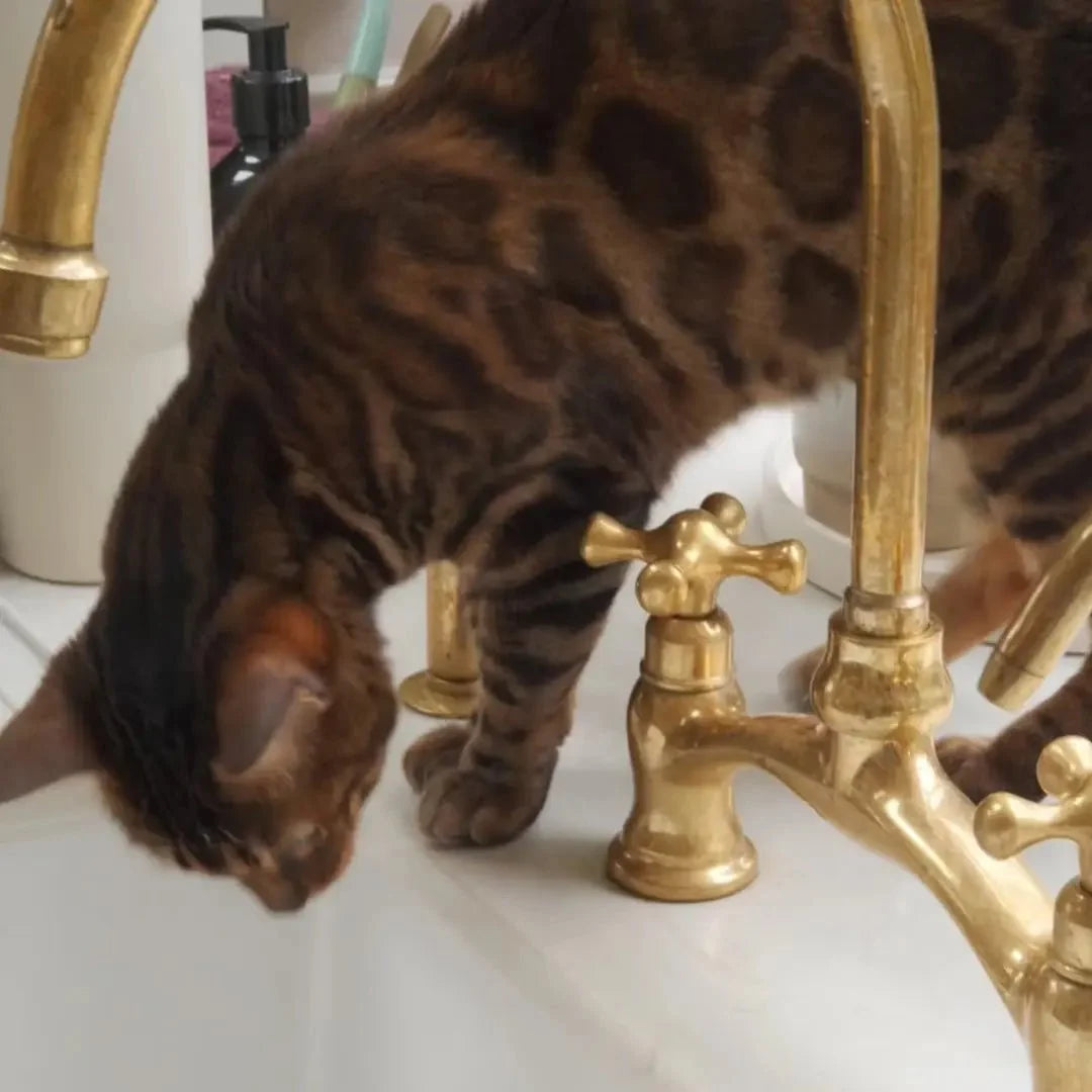 Verdeau - Unlacquered Bridge Kitchen Faucet