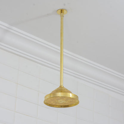 Overhead Shower Handheld, Ceiling Showerhead And Hand Shower Combo