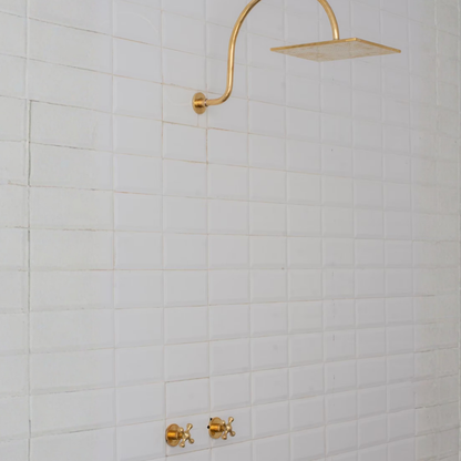 Brass Built-in Shower System,  High Arc Gooseneck Shower Arm With Showerhead
