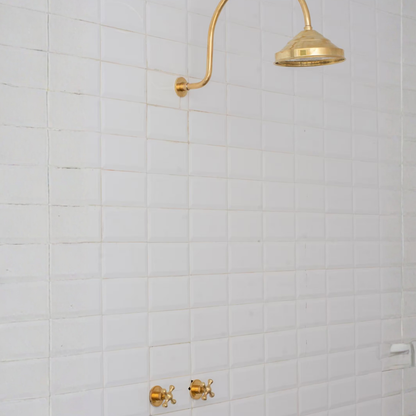 Brass Built-in Shower System,  High Arc Gooseneck Shower Arm With Showerhead