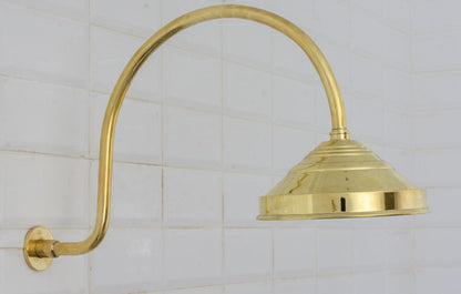 Brass Built-in Shower System,  High Arc Gooseneck Shower Arm With Showerhead