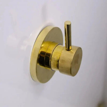 Brass shower – Antique Brass Shower Fixtures