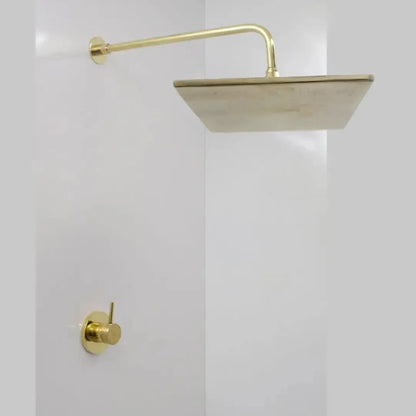 Brass shower – Antique Brass Shower Fixtures
