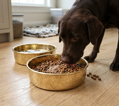 Dog Bowl – Unlacquered Luxury