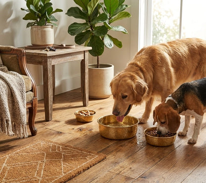 Dog Bowl – Unlacquered Luxury