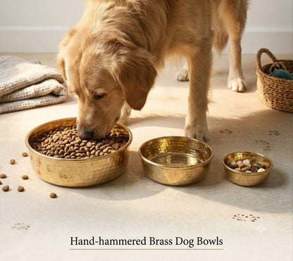 Dog Bowl – Unlacquered Luxury