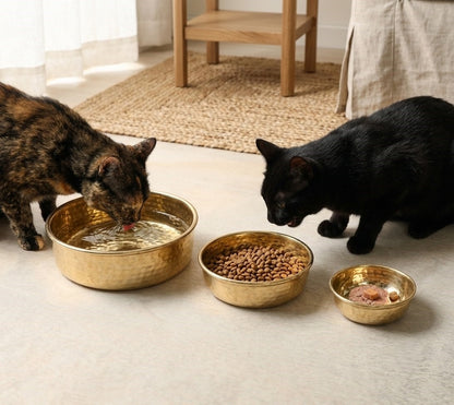 Pet Bowl – Unlacquered Luxury