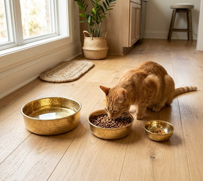 Pet Bowl – Unlacquered Luxury