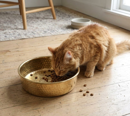 Pet Bowl – Unlacquered Luxury