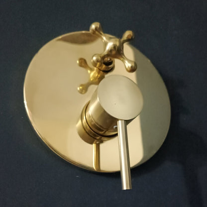 Concealed Shower Calie