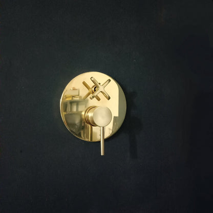 Concealed Shower Calie
