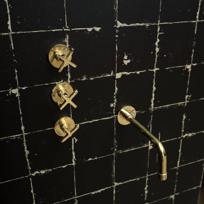 The Fanus Shower System