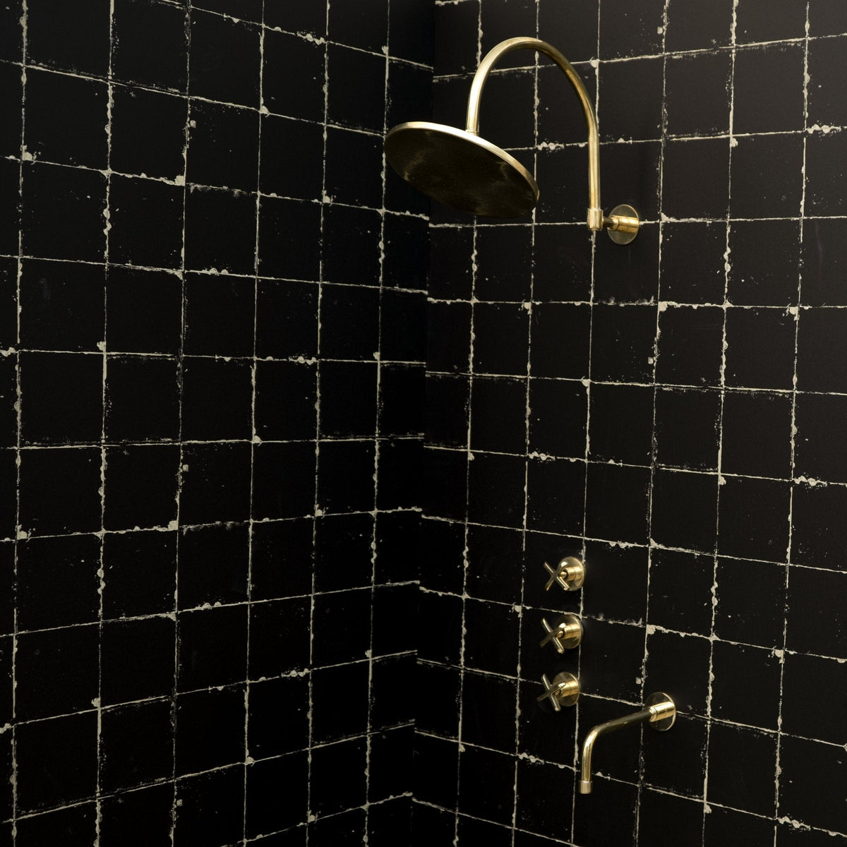 The Fanus Shower System