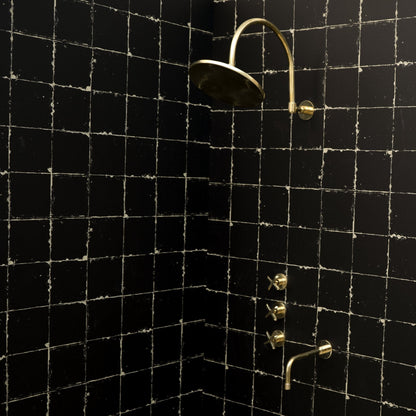 The Fanus Shower System