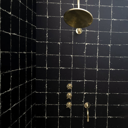 The Fanus Shower System