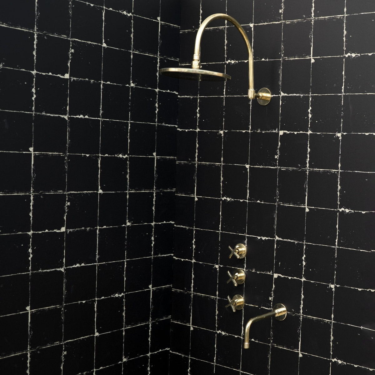 The Fanus Shower System